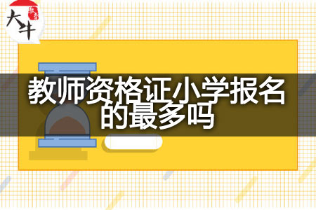 教师资格证小学报名条件