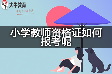 小学教师资格证报考