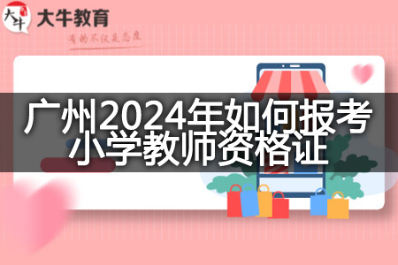 广州2024年考小学教师资格证