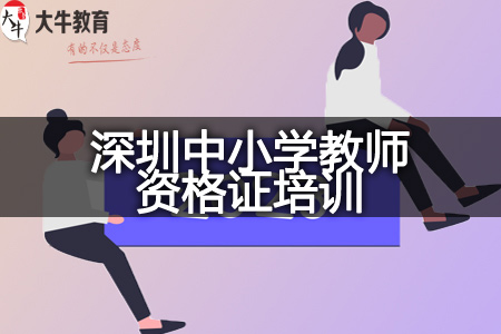 深圳中小学教师资格证培训