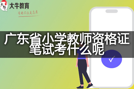 广东省小学教师资格证笔试