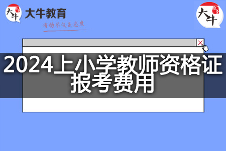 2024上小学教师资格证报考费用