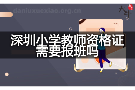 深圳小学教师资格证报班