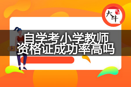 自学考小学教师资格证成功率