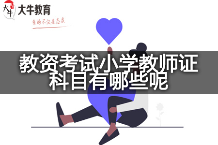 教资考试小学教师证