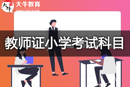 教师资格证小学考试