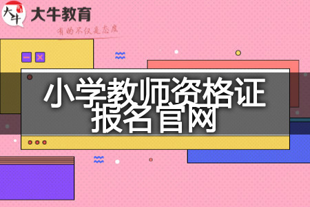 小学教师资格证报名官网