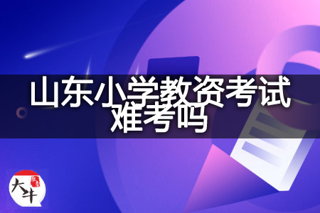 山东小学教资内容