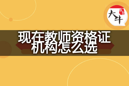 现在教师资格证机构怎么选