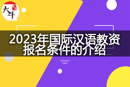 2023年国际汉语教资报名条件