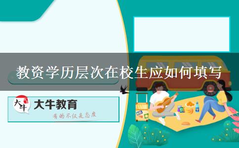 中小学教资最高学历层次,