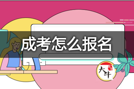 成考报名