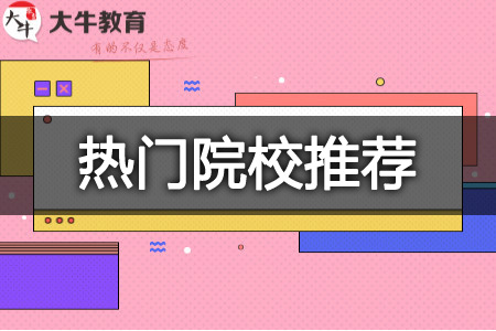 成考护理学