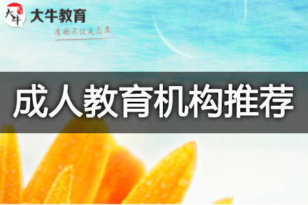 成考函授站