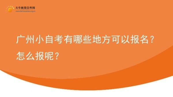 广州小自考有哪些地方可以报名？怎么报呢？图片