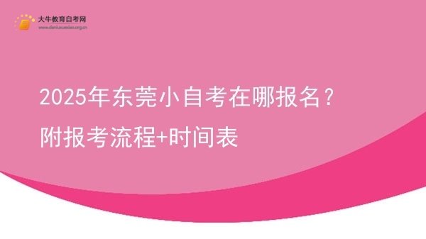 2025年东莞小自考在哪报名？附报考流程+时间表图片