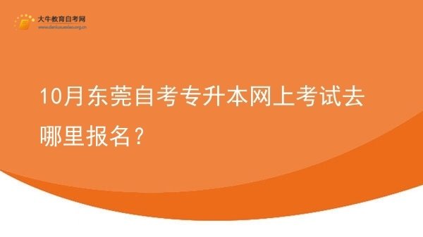 10月东莞自考专升本网上考试去哪里报名？图片