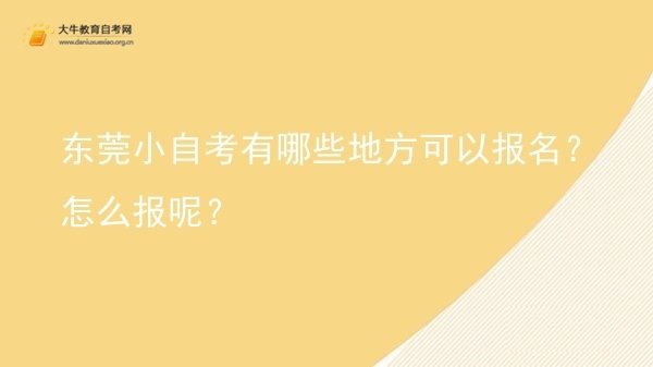 东莞小自考有哪些地方可以报名？怎么报呢？图片