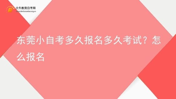 东莞小自考多久报名多久考试？怎么报名图片