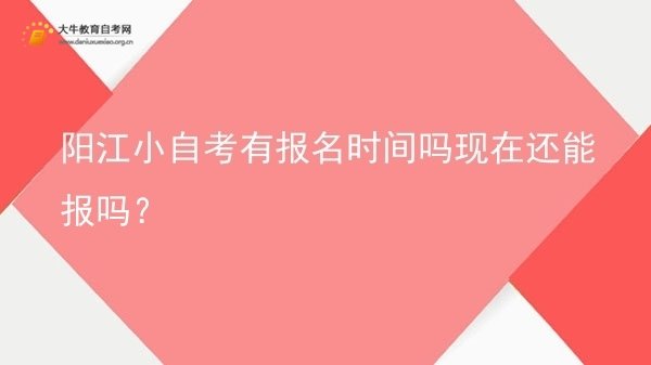 阳江小自考有报名时间吗现在还能报吗？图片