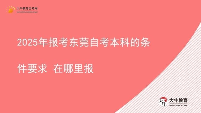 2025年报考东莞自考本科的条件要求 在哪里报图片