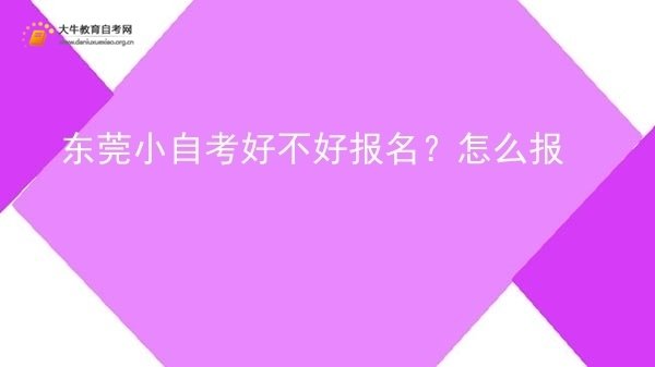 东莞小自考好不好报名？怎么报图片