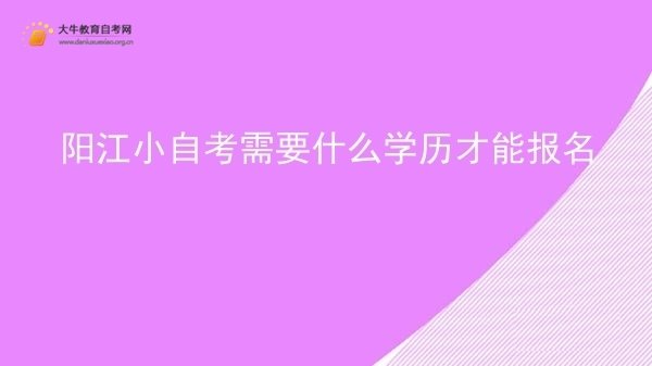 阳江小自考需要什么学历才能报名图片