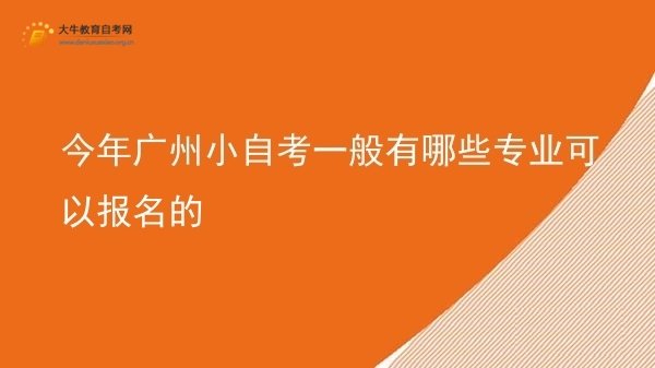 今年广州小自考一般有哪些专业可以报名的图片