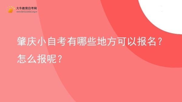 肇庆小自考有哪些地方可以报名？怎么报呢？图片