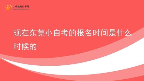 现在东莞小自考的报名时间是什么时候的图片
