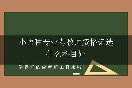 小语种专业考教师资格证选什么科目好