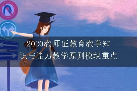 2020教师证教育教学知识与能力教学原则模块重点