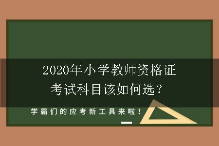 2020年小学教师资格证考试科目