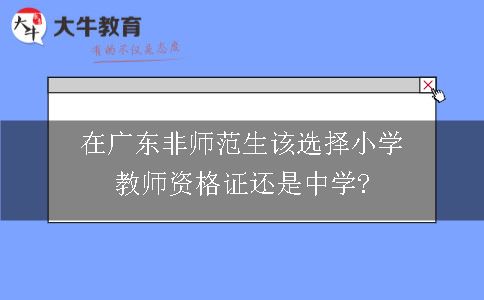 非师范生该选择小学教师资格证