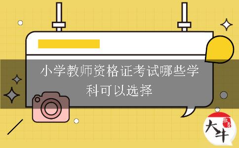 小学教师资格证考试