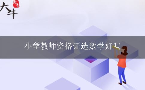 小学教师资格证选数学