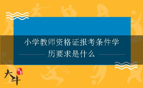 小学资格证报考条件学历