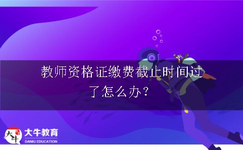 教师资格证缴费截止时间过了怎么办？