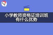 小学教师资格证培训班有什么优势？