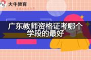广东教师资格证考哪个学段的最好？