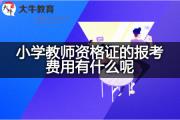 小学教师资格证的报考费用有什么呢？