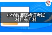 小学教师资格证考试科目有几科？