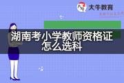 湖南考小学教师资格证怎么选科？