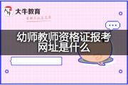 幼师教师资格证报考网址是什么？
