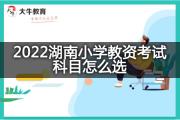 2022湖南小学教资考试科目怎么选？