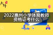 2022惠州小学体育教师资格证考什么？