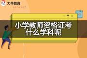 小学教师资格证考什么学科呢？