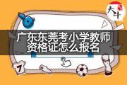 广东东莞考小学教师资格证怎么报名？