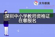 深圳中小学教师资格证在哪报名？