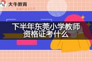 下半年东莞小学教师资格证考什么？